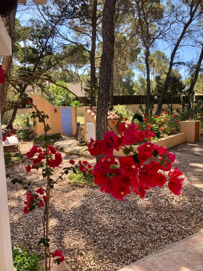 Apartamento Sa Ginebra, Cala Saona Exteriér fotografie