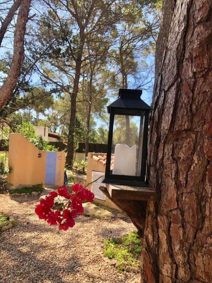 Apartamento Sa Ginebra, Cala Saona Exteriér fotografie